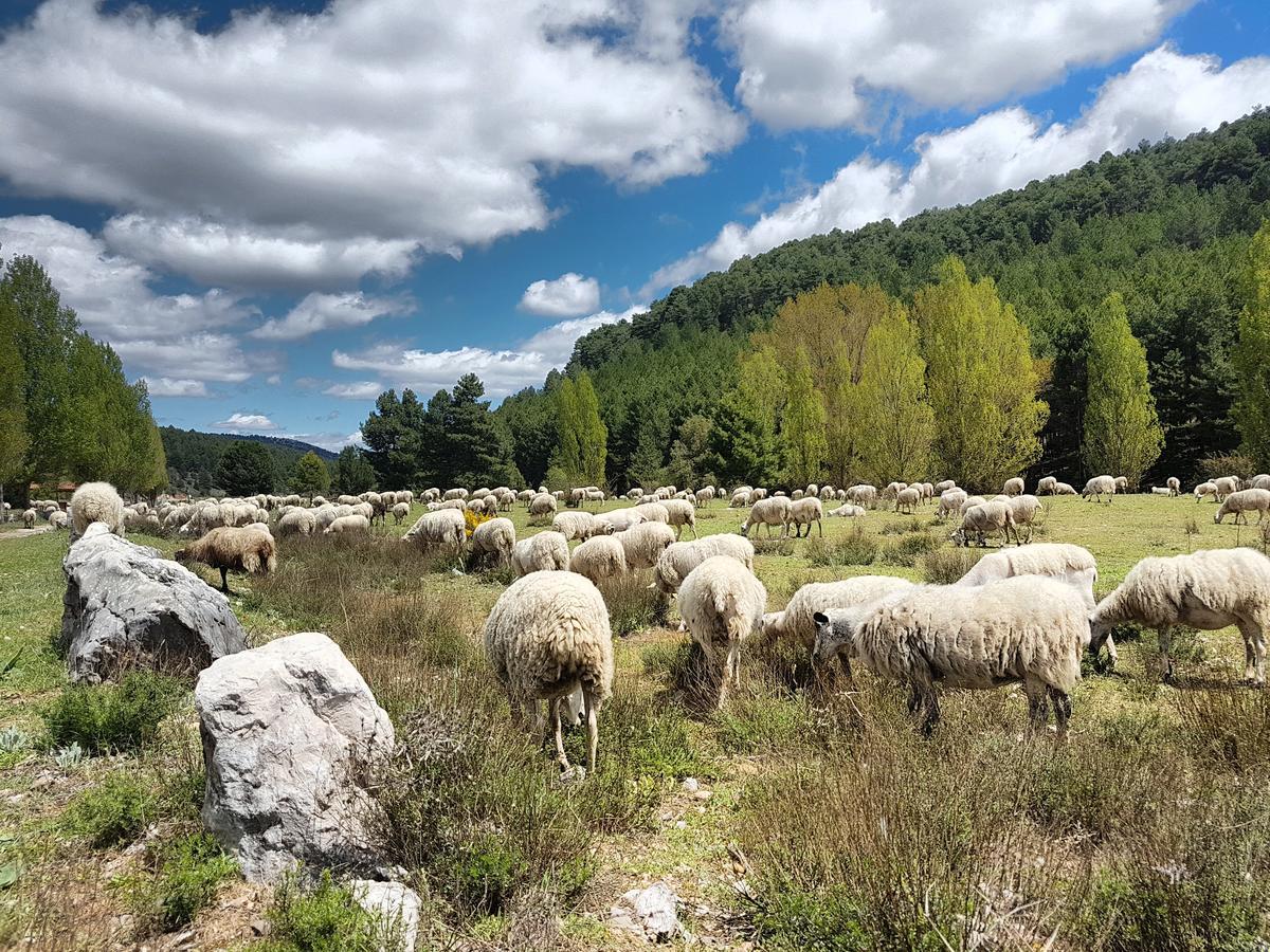 Enclave Soria Ξενοδοχείο Herreros Εξωτερικό φωτογραφία